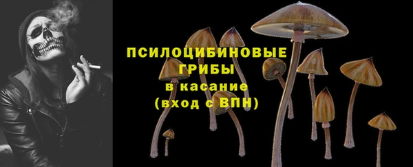 амф Лихославль