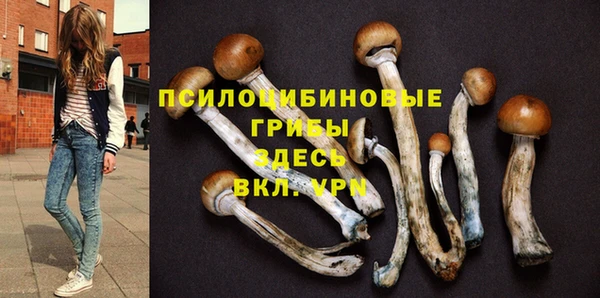 амф Лихославль