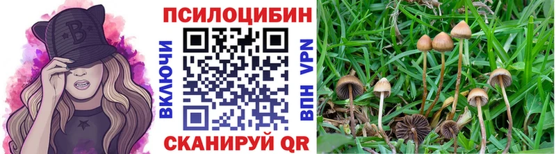 Купить закладки  Жердевка  Галлюциногенные грибы мухоморы 